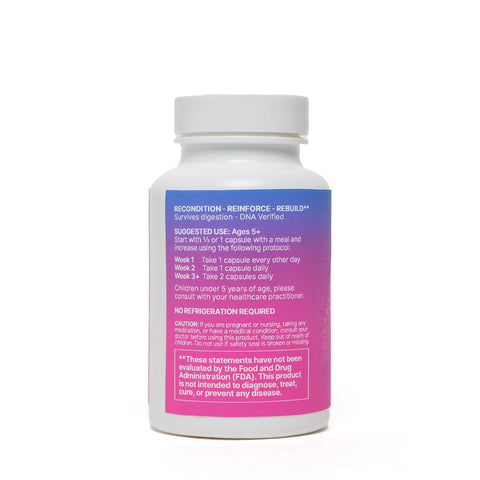 Mega SporeBiotic™- Improve Gut Health with Innovative Spore-Based Probiotic - Methyl-Life® Supplements