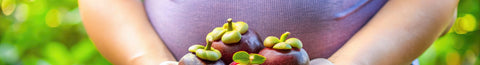 Can Folate Supplementation Have Benefits During Pregnancy and After Childbirth?