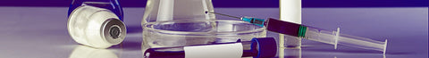 B12 Serum and MTHFR