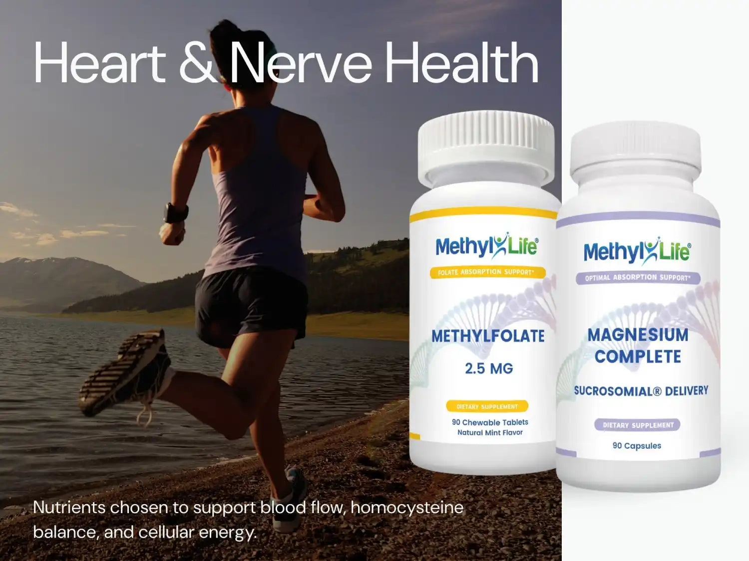 Cardiovascular & Nerve Health Support