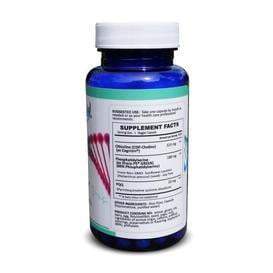 Focus & Recall (Supplement for Brain Focus: Citicoline, Phosphatidylserine, PQQ) - 2 month supply - Methyl-Life Supplements